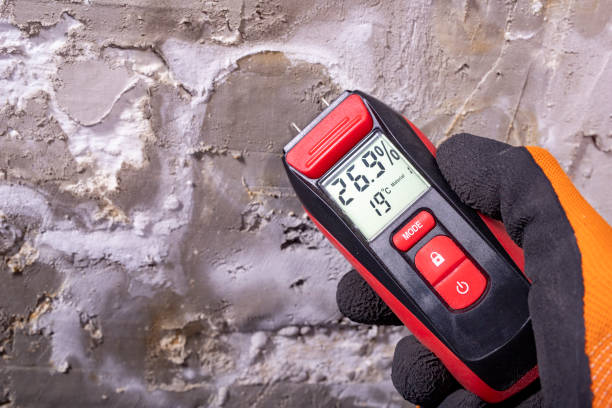 Best Mold Cleaning Services  in Lawtey, FL