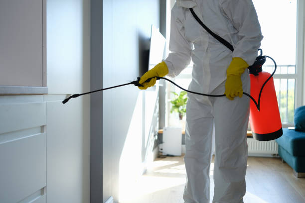 Best Professional Mold Removal  in Lawtey, FL