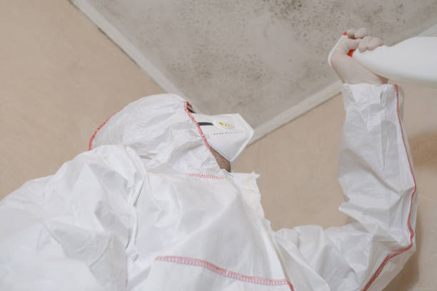 Best Crawl Space Mold Removal  in Lawtey, FL