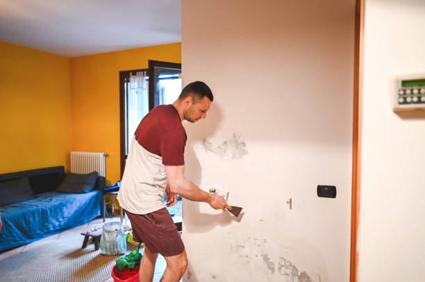 Best Affordable Mold Removal  in Lawtey, FL
